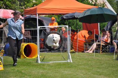 DSC_0018.jpg