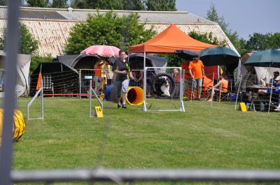 DSC_0048.jpg