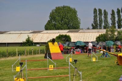 DSC_0052.jpg