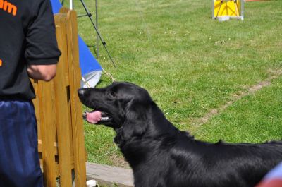 DSC_0075.jpg