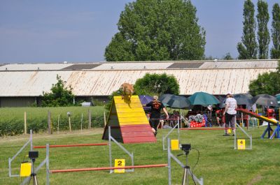 DSC_0078.jpg