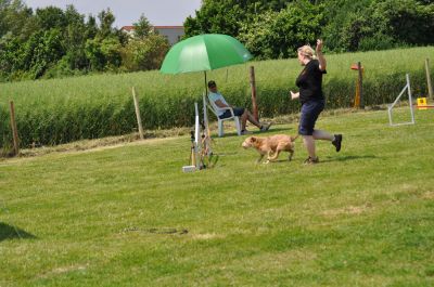 DSC_0155.jpg