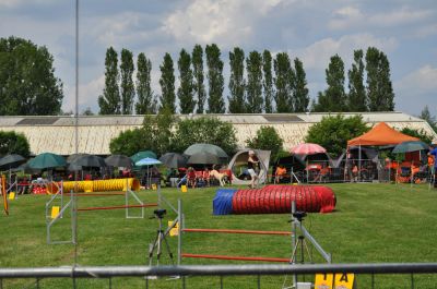 DSC_0209.jpg