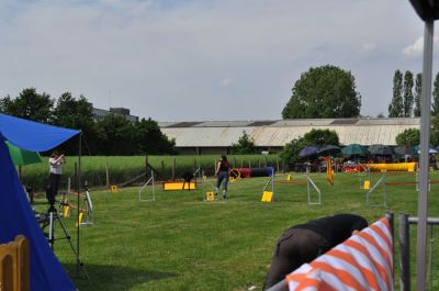 DSC_0229.jpg