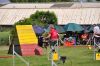 Filename=DSC_0032.jpg
Filesize=233KiB
Dimensions=1000x664
Date added=Aug 17, 2010 DSC_0032.jpg
