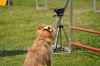 Filename=DSC_0146.jpg
Filesize=155KiB
Dimensions=1000x664
Date added=Aug 17, 2010 DSC_0146.jpg