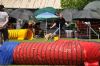 Filename=DSC_0149.jpg
Filesize=194KiB
Dimensions=1000x664
Date added=Aug 17, 2010 DSC_0149.jpg