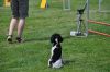 Filename=DSC_0164.jpg
Filesize=213KiB
Dimensions=1000x664
Date added=Aug 17, 2010 DSC_0164.jpg