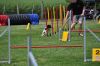 DSC_0172.jpg