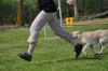 Filename=DSC_0183.jpg
Filesize=188KiB
Dimensions=1000x664
Date added=Aug 17, 2010 DSC_0183.jpg