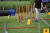 Filename=DSC_0191.jpg
Filesize=193KiB
Dimensions=1000x664
Date added=Aug 17, 2010 DSC_0191.jpg