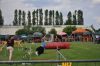 Filename=DSC_0215.jpg
Filesize=203KiB
Dimensions=1000x664
Date added=Aug 17, 2010 DSC_0215.jpg