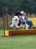 DSC_0070eisbr.jpg