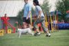 Filename=DSC_0108.jpg
Filesize=58KiB
Dimensions=600x402
Date added=Jun 15, 2008 DSC_0108.jpg