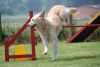Filename=DSC_0135.jpg
Filesize=51KiB
Dimensions=600x402
Date added=Jun 15, 2008 DSC_0135.jpg