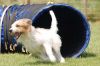 DSC_0154boo6.jpg