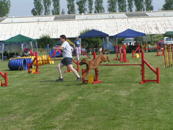 IMG_0041.jpg