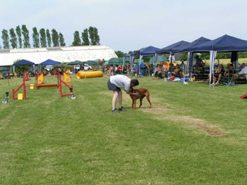IMG_0064.jpg