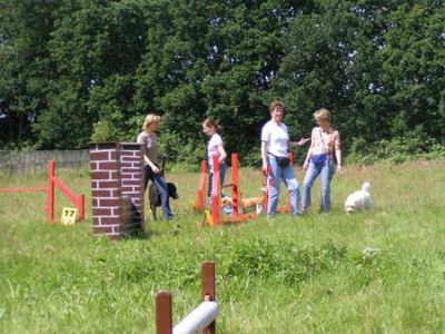 PICT0426.jpg