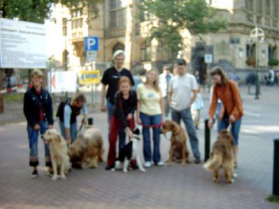 IMAGE0001_JPG.jpg