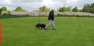 IMG-20190504-WA0067.jpg