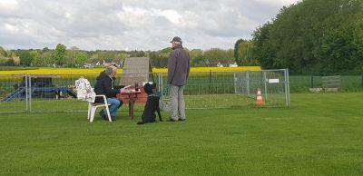 IMG-20190504-WA0102.jpg