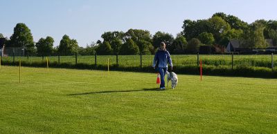 IMG-20190504-WA0121.jpg