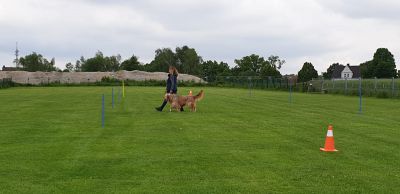 IMG-20190511-WA0047.jpg