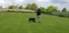 IMG-20190504-WA0066.jpg