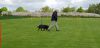 IMG-20190504-WA0067.jpg