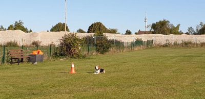 IMG-20190921-WA0034.jpg