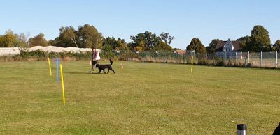 IMG-20190921-WA0044.jpg