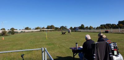 IMG-20190921-WA0047.jpg