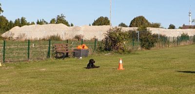 IMG-20190921-WA0050.jpg
