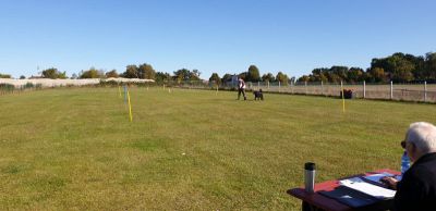 IMG-20190921-WA0055.jpg
