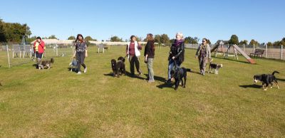 IMG-20190921-WA0117.jpg