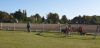 IMG-20190921-WA0028.jpg