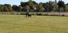 Filename=IMG-20190921-WA0063.jpg
Filesize=91KiB
Dimensions=800x389
Date added=Sep 29, 2019 IMG-20190921-WA0063.jpg