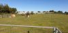 IMG-20190921-WA0100.jpg