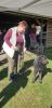 Filename=IMG-20190921-WA0125.jpg
Filesize=75KiB
Dimensions=389x800
Date added=Sep 29, 2019 IMG-20190921-WA0125.jpg