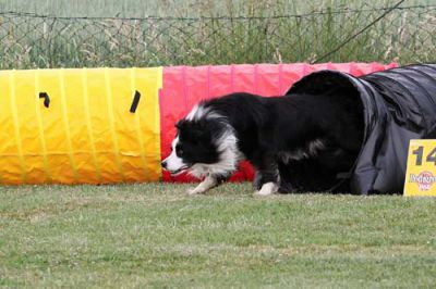 Recklinghausen_2011-058.JPG