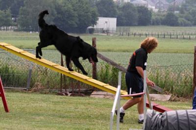 Recklinghausen_2011-201.JPG