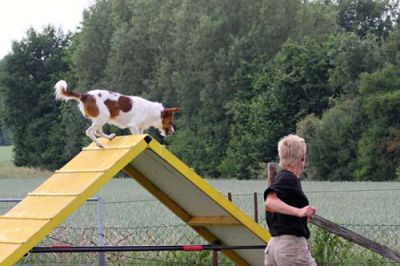 Recklinghausen_2011-209.JPG
