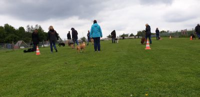 IMG-20190511-WA0026.jpg