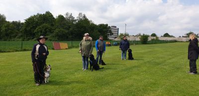 IMG-20190511-WA0031.jpg