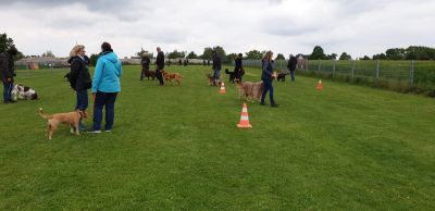 IMG-20190511-WA0037.jpg