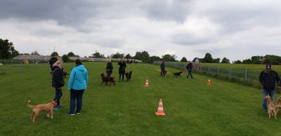 IMG-20190511-WA0039.jpg