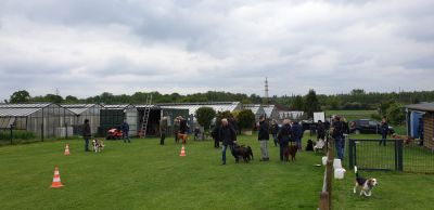 IMG-20190511-WA0087.jpg