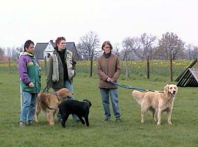 AUT_0508.jpg