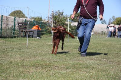 IMG_0276.JPG